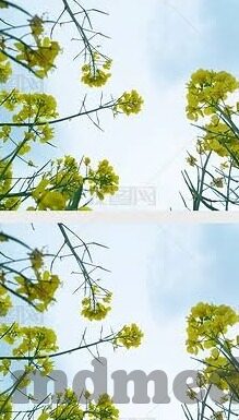 麻豆传媒在线观看播放-解锁视听盛宴，探寻麻豆传媒在线观影体验