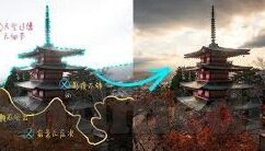 麻豆传媒直播app下载官网版-麻豆传媒直播app下载指南，搜索、体验与解析