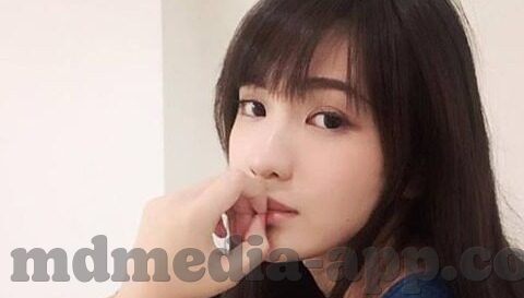 糖心vlog视频官网-洞见创意生活，探索糖心Vlog视频官网的多元化内容与互动魅力
